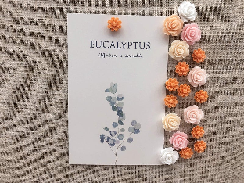Temoyj Push Pins 24 Pcs,Decorative ThumbTacks for CorkBoard,Feature Wall, Office Organization or Home - Image 4